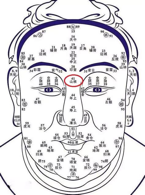 命相學|命相學：山根別稱夫妻座，中年生活要看它